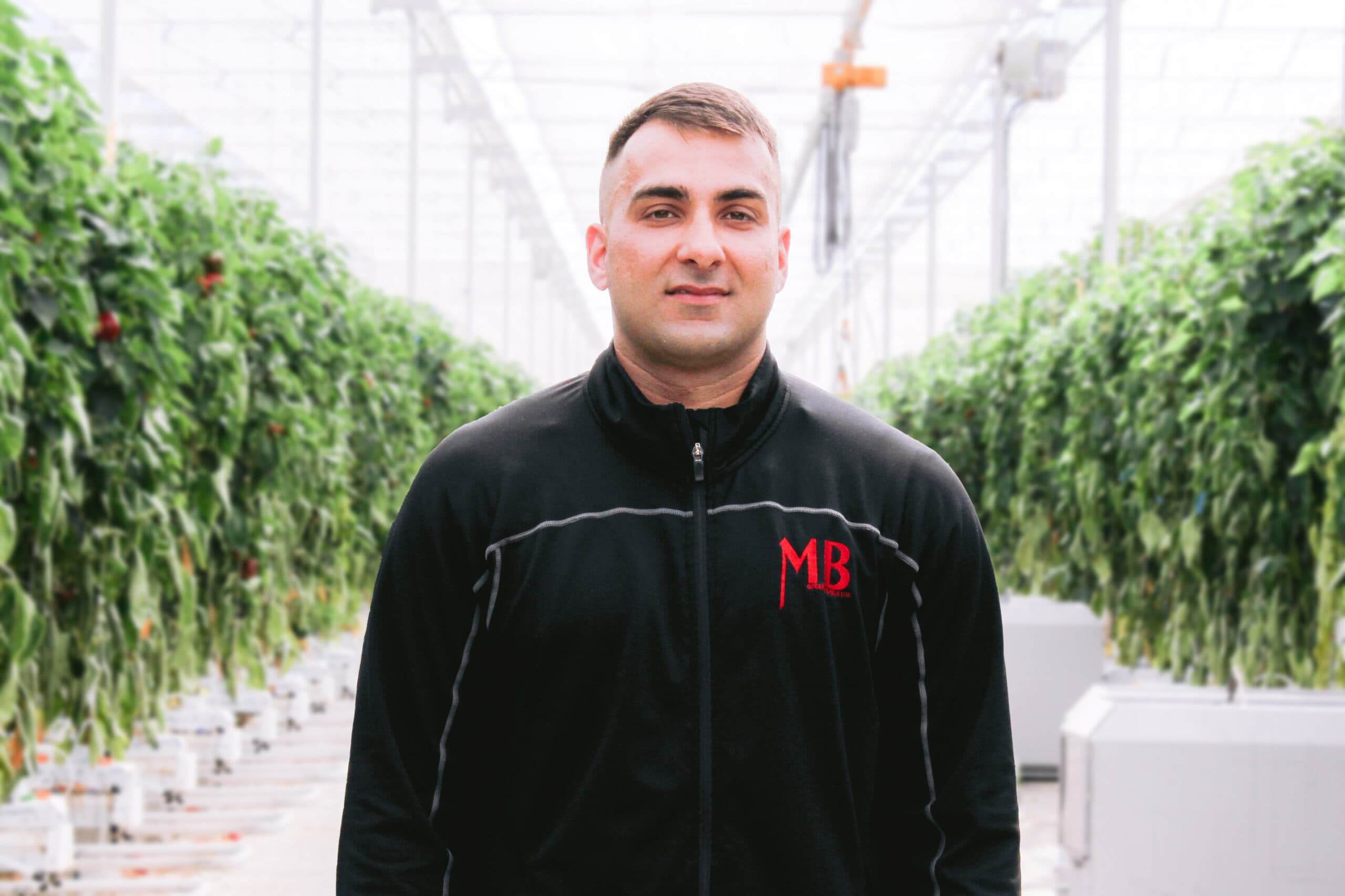 Integrante del equipo de MB Greenhouses en un pasillo de cultivo de pimiento